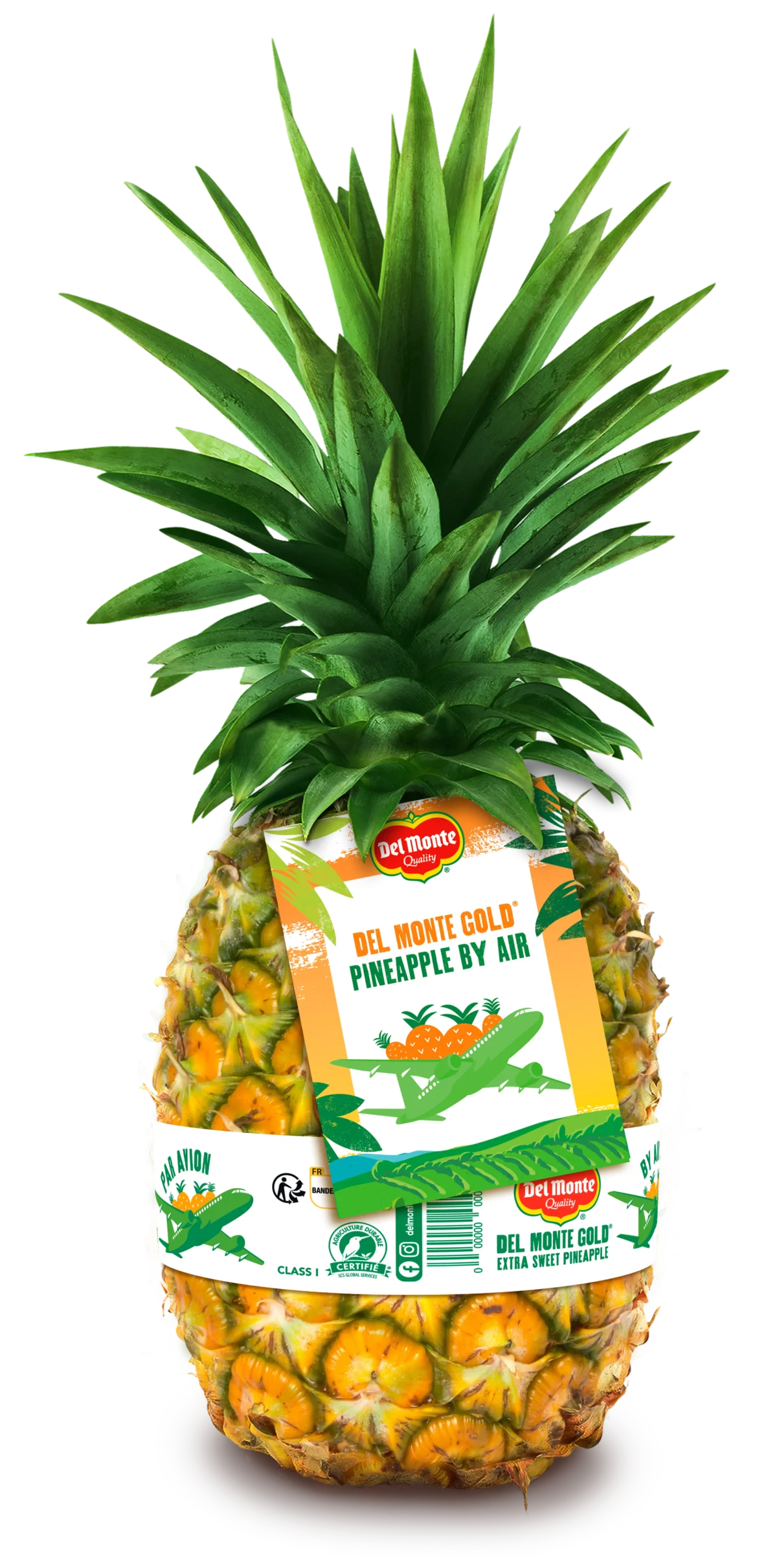 DMG Pine By Air Tag & Tape KENYA (1)